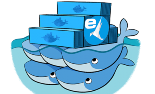 ecoDMS mit Docker Swarm